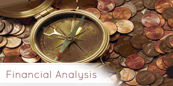 Financial Analysis